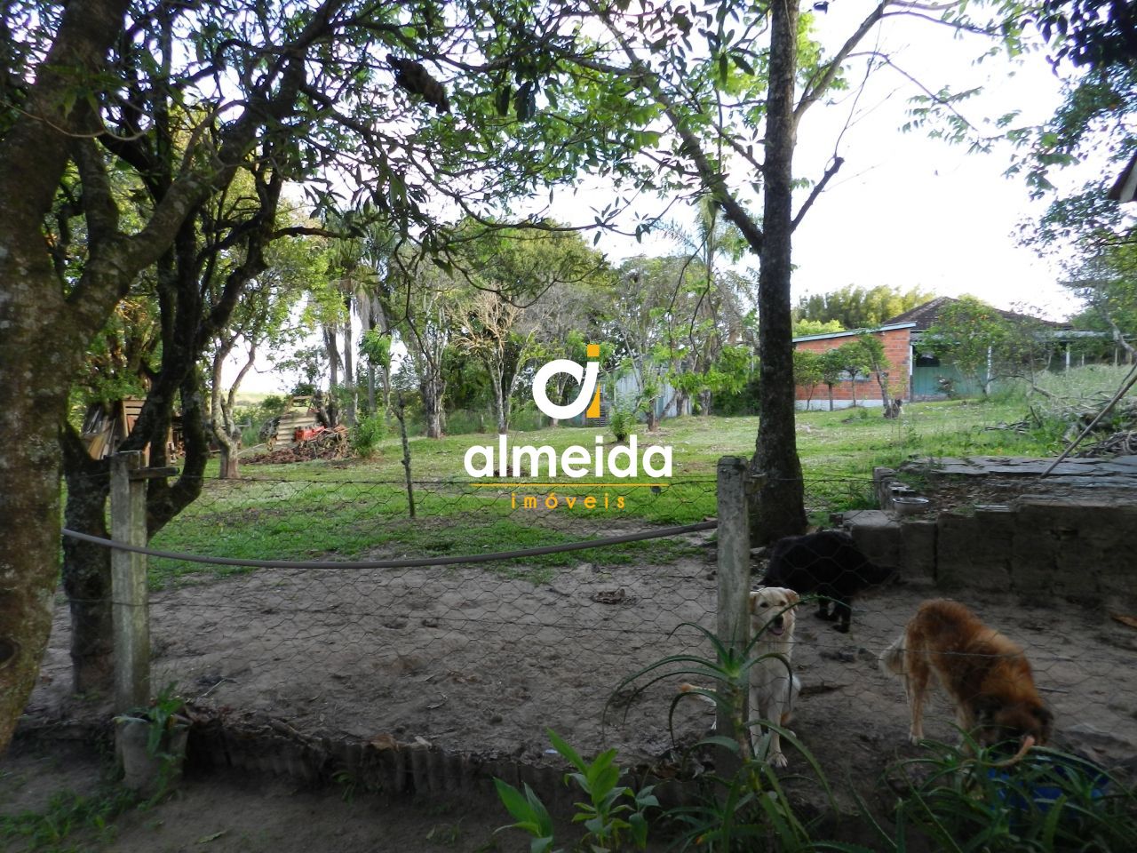 Casa, 3 quartos, 225 m² - Foto 22