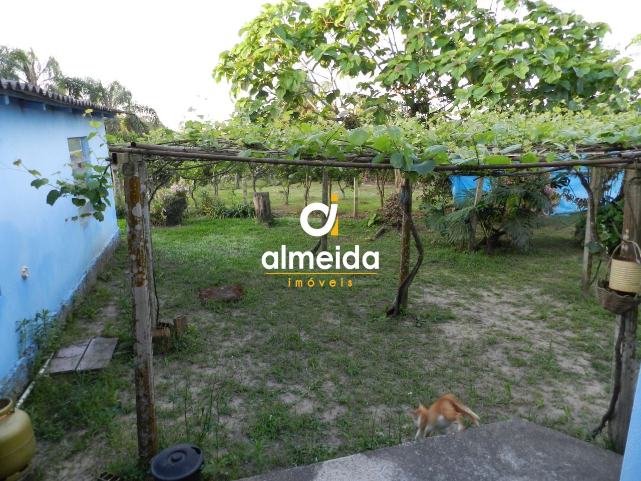 Casa, 3 quartos, 225 m² - Foto 25