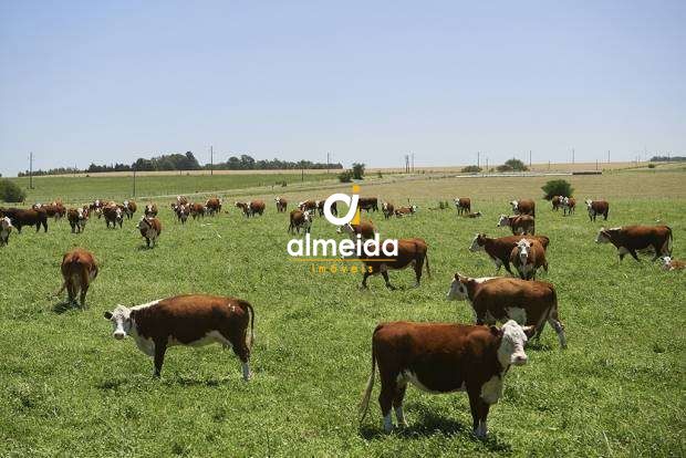 Loteamento e Condomínio, 345 hectares - Foto 1