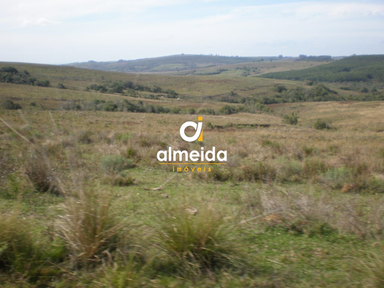 Campo à venda santo antônio cachoeira do sul/rs - foto 14