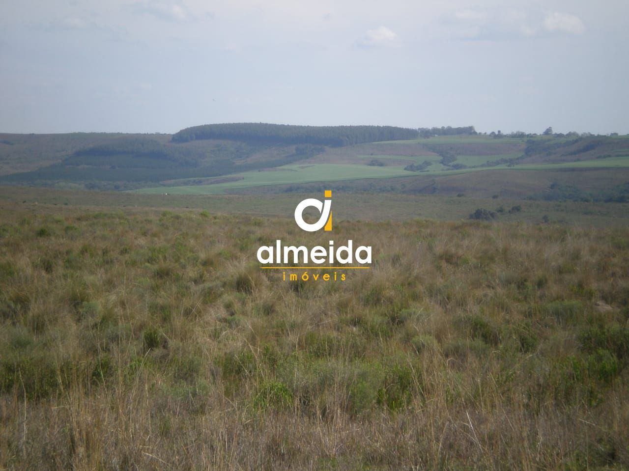 Campo à venda santo antônio cachoeira do sul/rs - foto 15