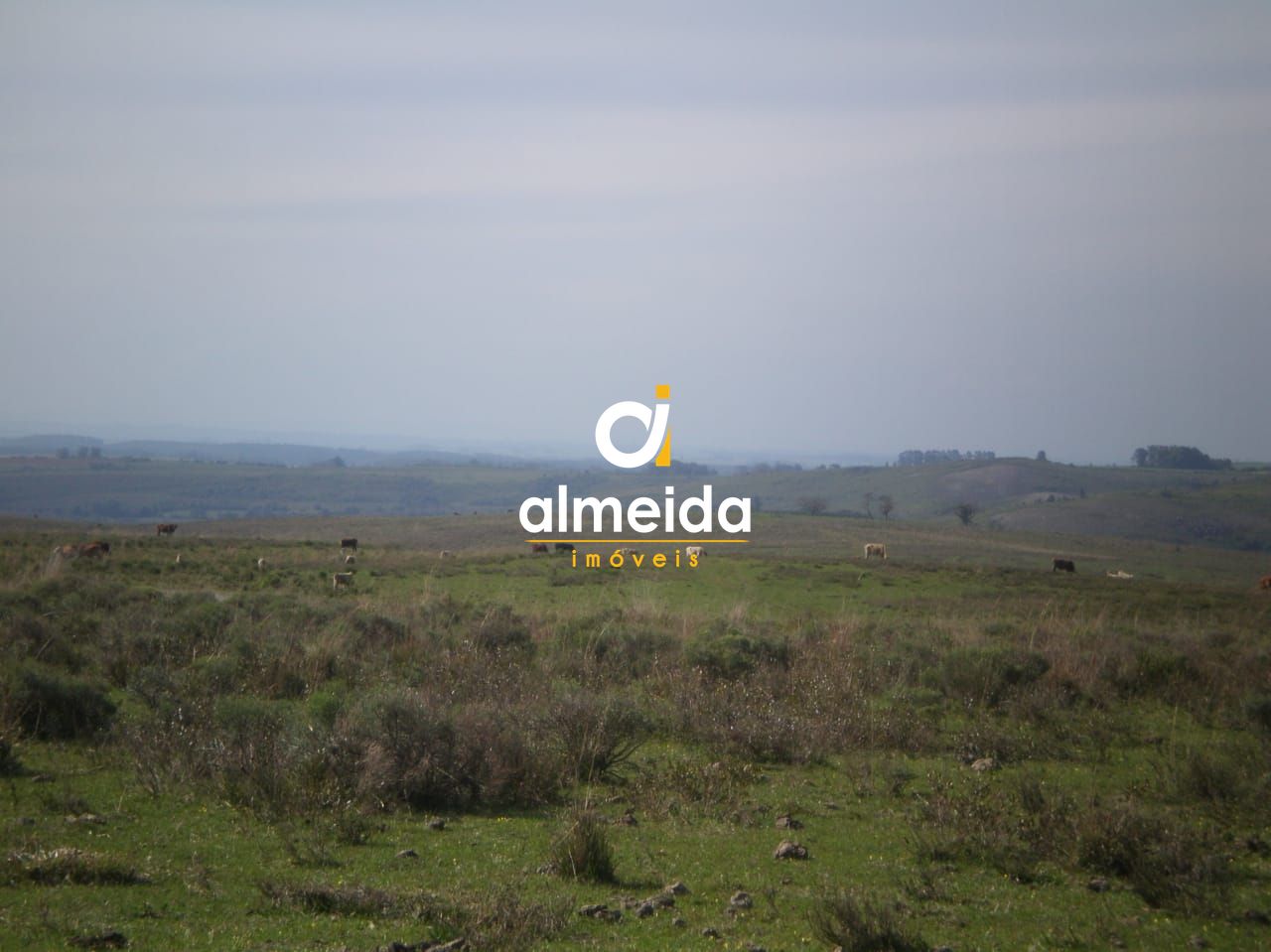 Campo à venda santo antônio cachoeira do sul/rs - foto 4