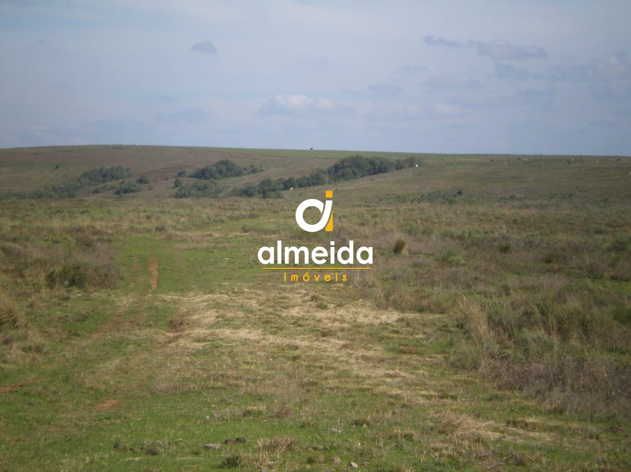 Campo à venda santo antônio cachoeira do sul/rs - foto 5