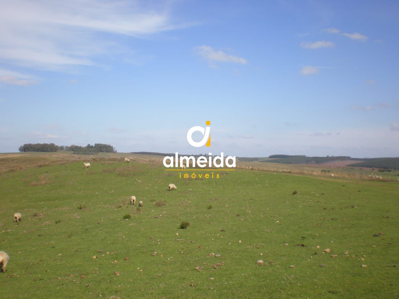 Campo à venda santo antônio cachoeira do sul/rs - foto 13