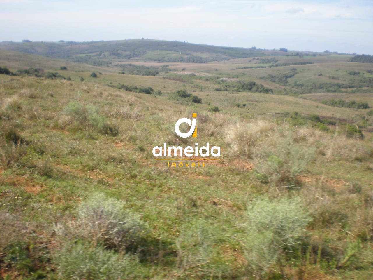Campo à venda santo antônio cachoeira do sul/rs - foto 8