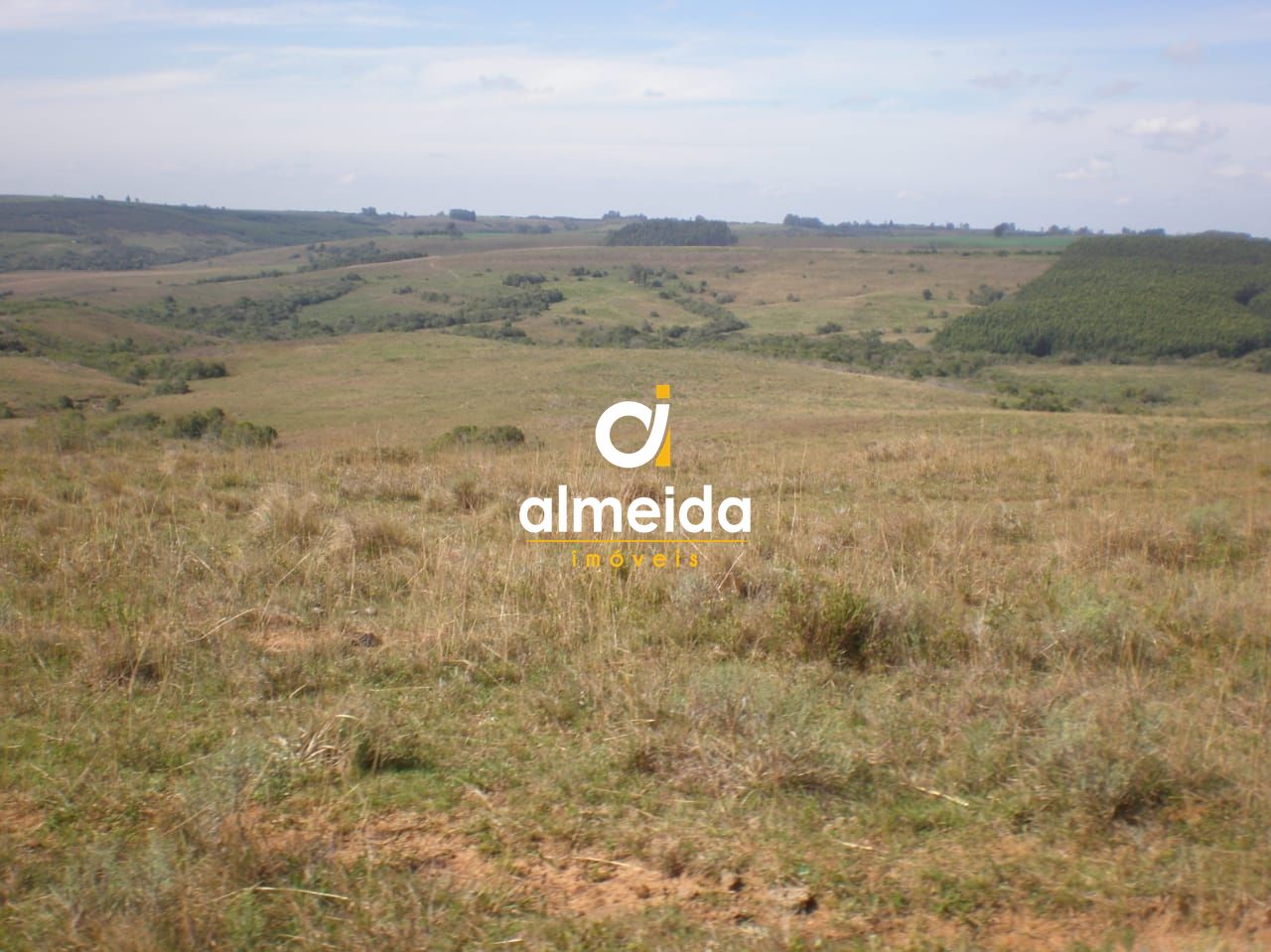 Campo à venda santo antônio cachoeira do sul/rs - foto 11
