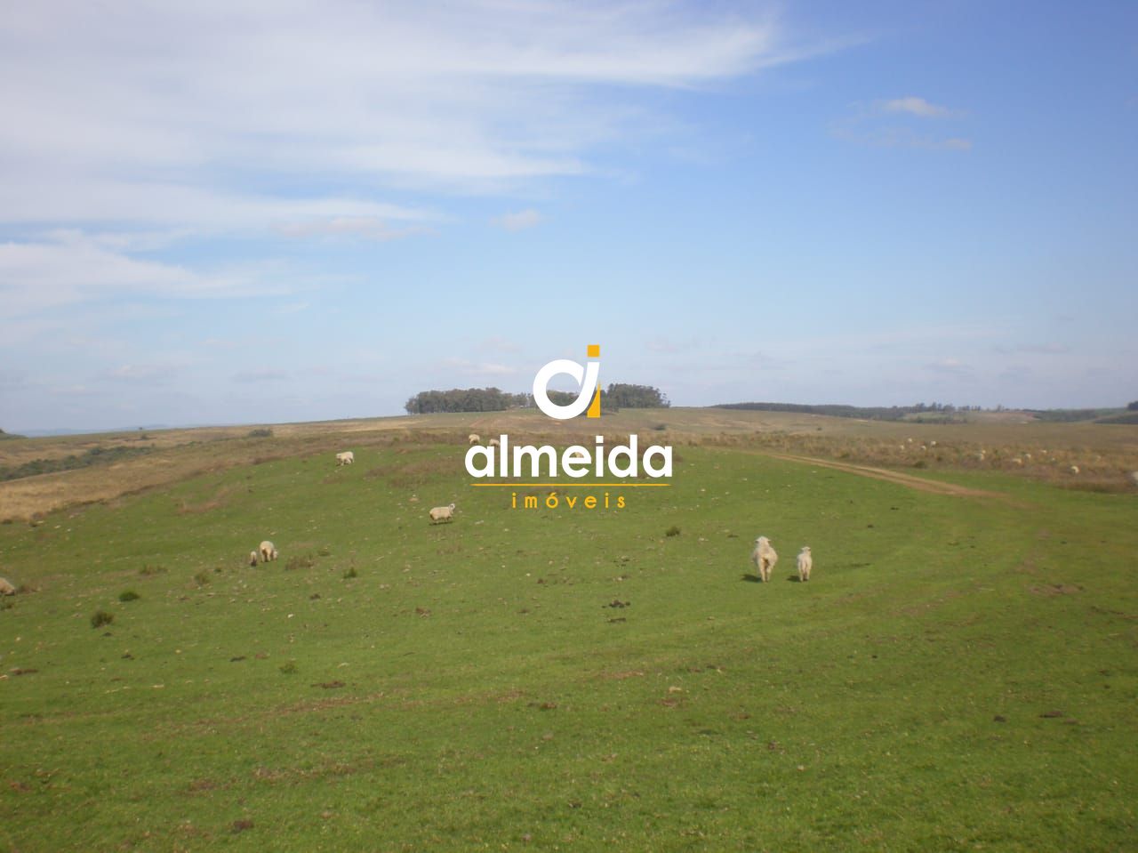 Campo à venda santo antônio cachoeira do sul/rs - foto 2