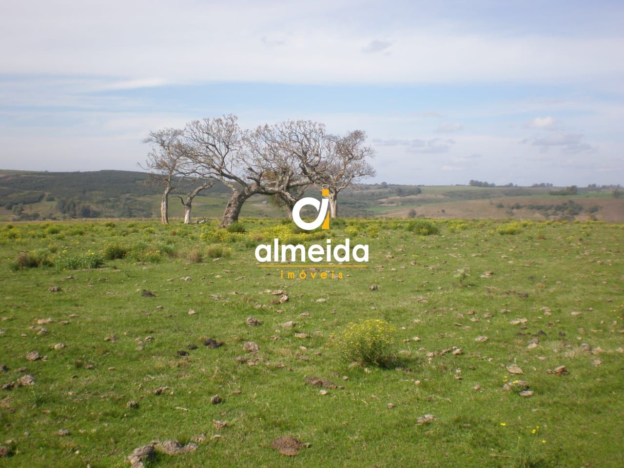 Campo à venda santo antônio cachoeira do sul/rs - foto 9