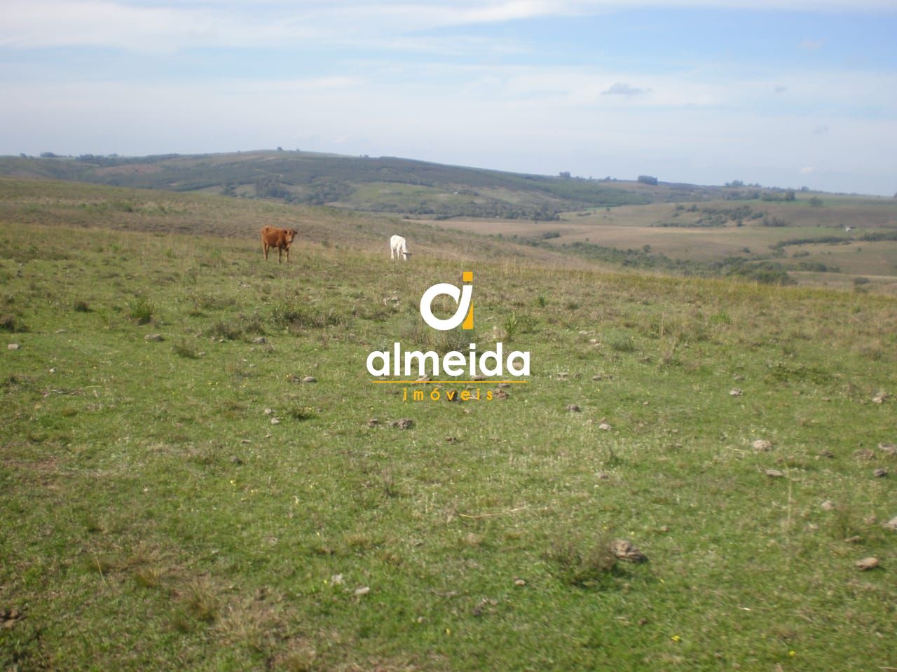 Campo à venda santo antônio cachoeira do sul/rs - foto 10