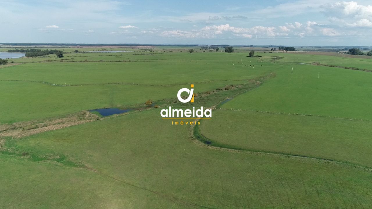 Campo à venda zona rural são sepé/rs