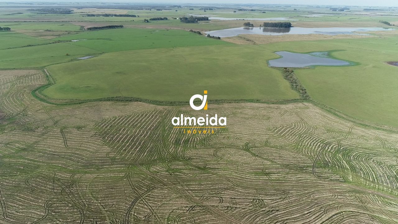 Campo à venda zona rural são sepé/rs