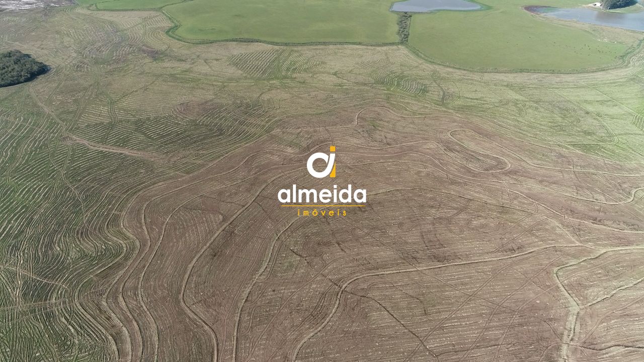 Campo à venda zona rural são sepé/rs