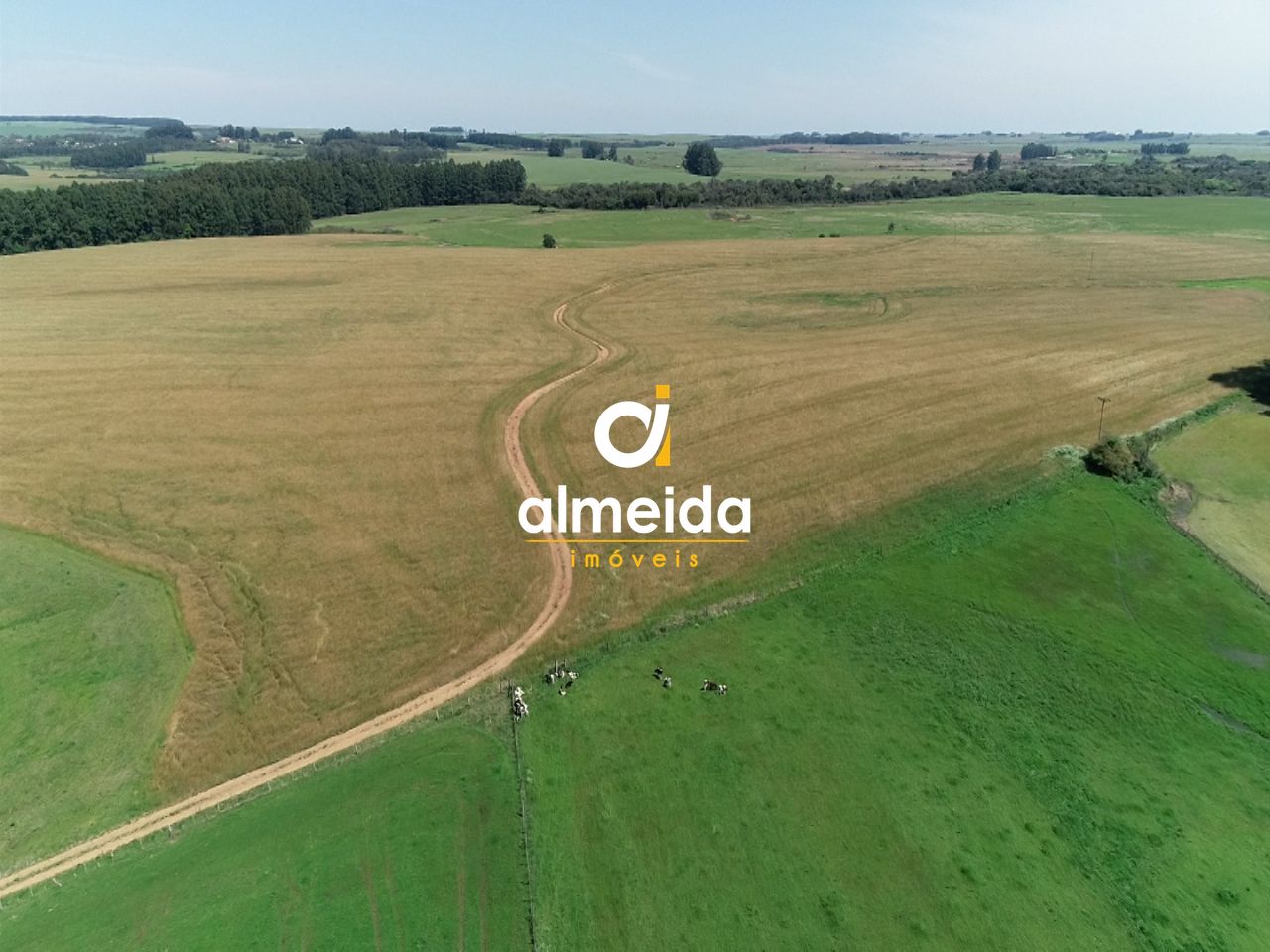 Fazenda à venda com 680 ha em são sepé/rs