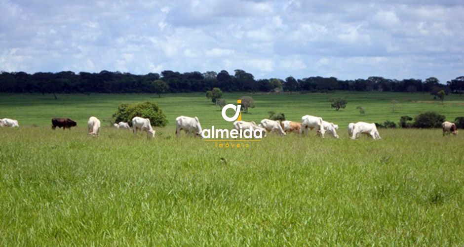 Loteamento e Condomínio à venda, 66380000m² - Foto 1