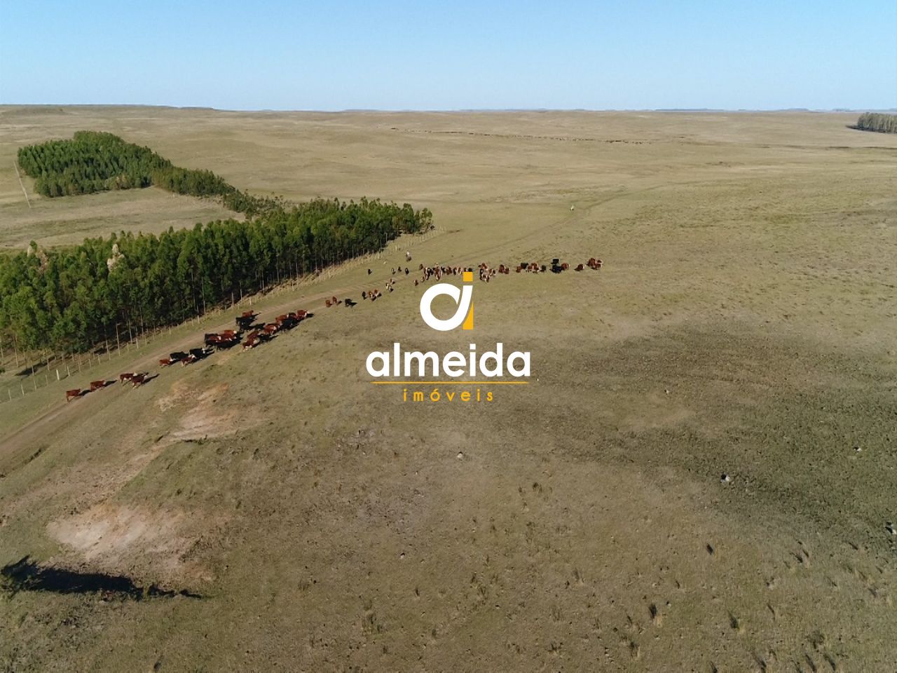 Loteamento e Condomínio, 109280000 hectares - Foto 27