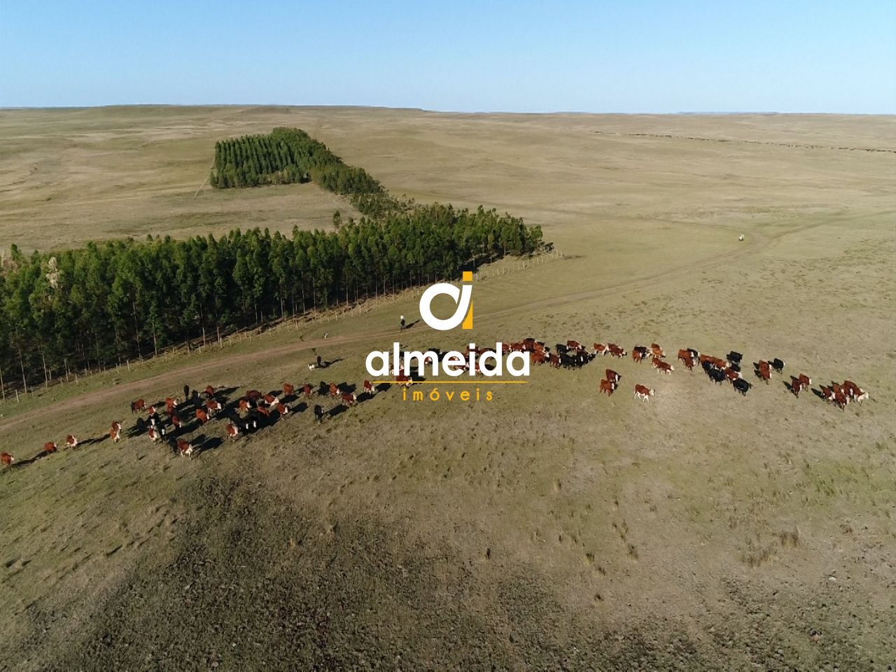 Loteamento e Condomínio, 109280000 hectares - Foto 29