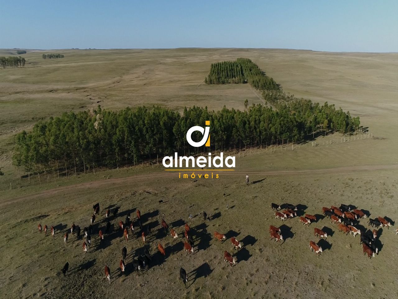 Loteamento e Condomínio, 109280000 hectares - Foto 28