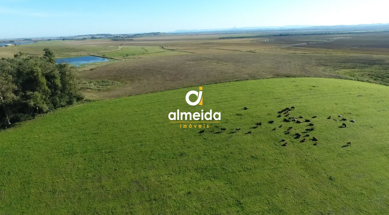 Fazenda toda estruturada com 519 ha em cachoeira do sul/rs l