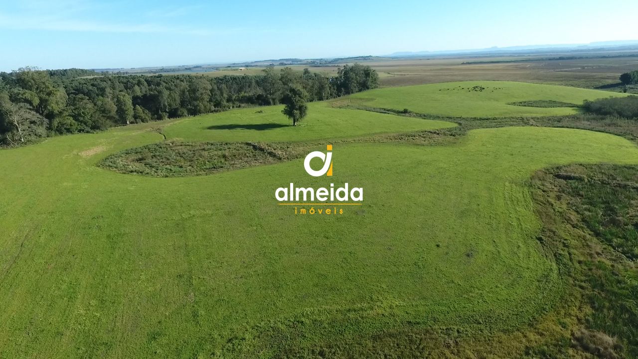 Fazenda toda estruturada com 519 ha em cachoeira do sul/rs l