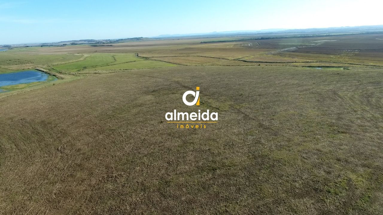Fazenda toda estruturada com 519 ha em cachoeira do sul/rs l