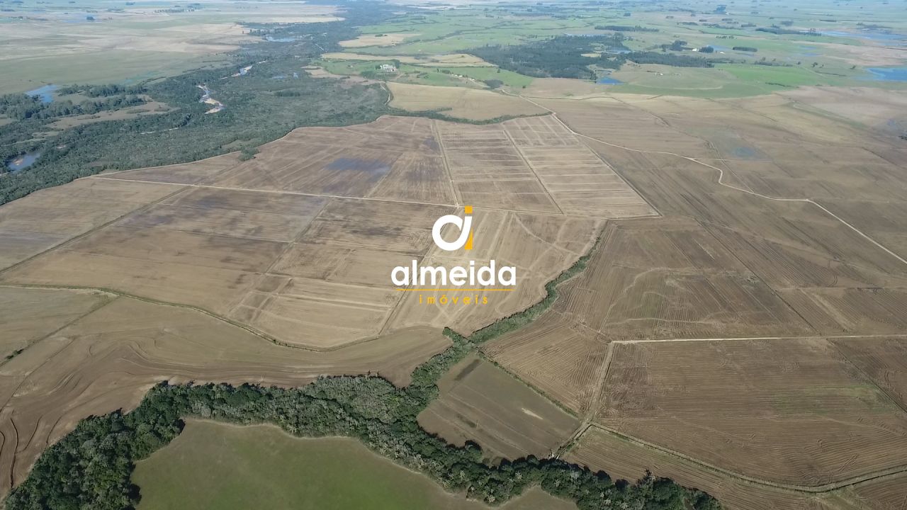 Fazenda toda estruturada com 519 ha em cachoeira do sul/rs l