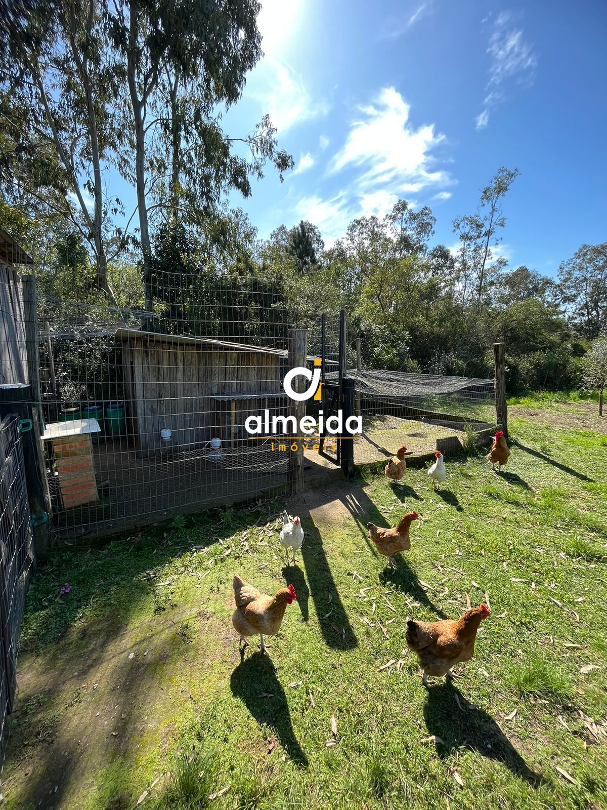 Fazenda à venda com 3 quartos, 200m² - Foto 21