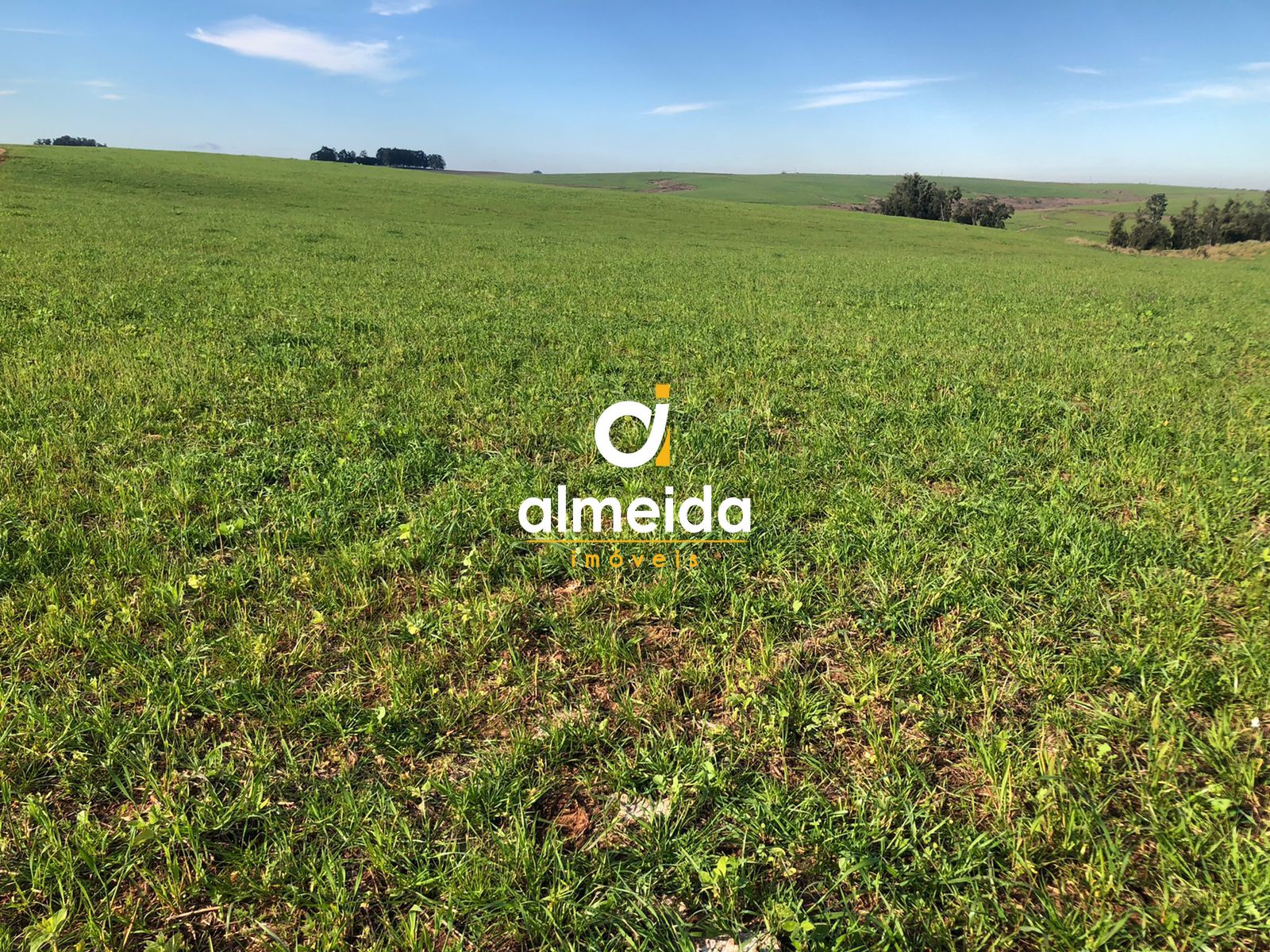 Loteamento e Condomínio, 5380000 hectares - Foto 3