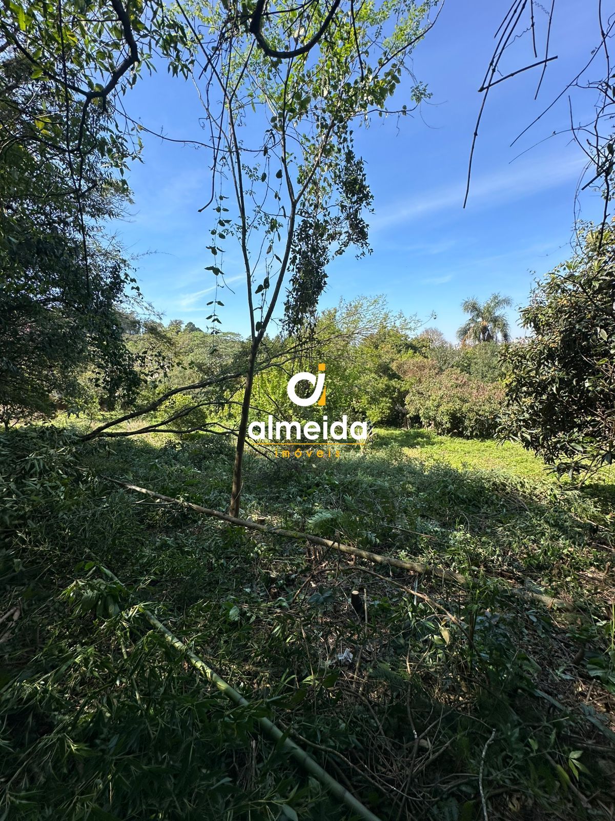 Terreno/Lote à venda, 3.836 m² por R$ 380.000,00 Terreno/Lote à venda, 3.836 m² por R$ 380.000,00