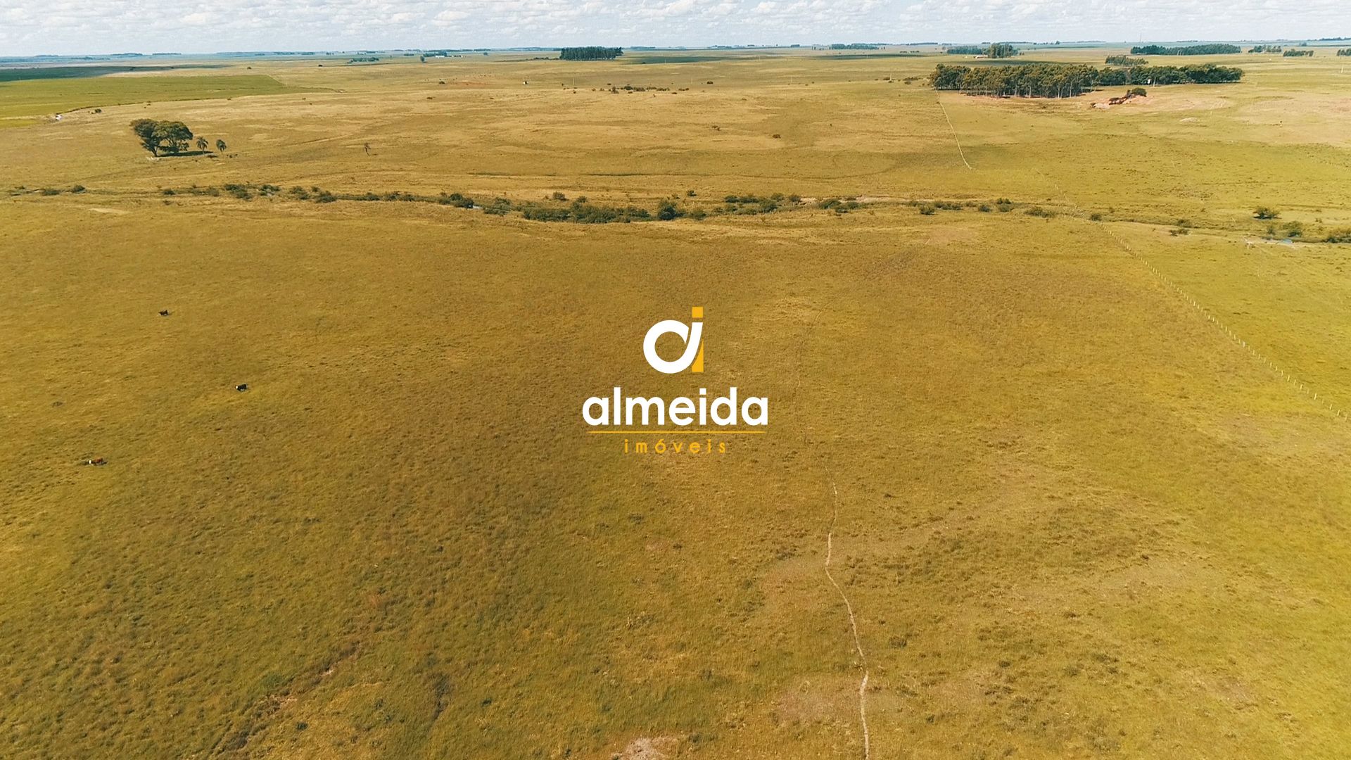 Loteamento e Condomínio à venda, 54700000000m² - Foto 2