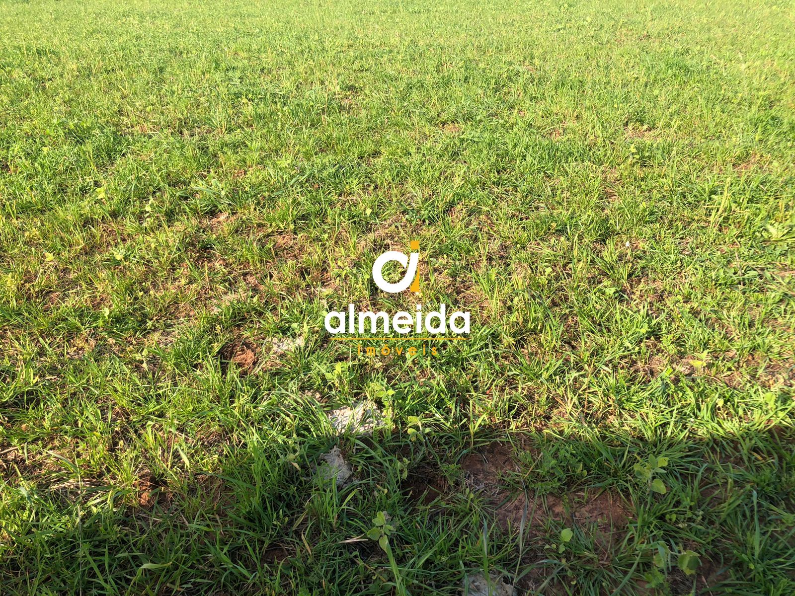 Loteamento e Condomínio, 5380000 hectares - Foto 5