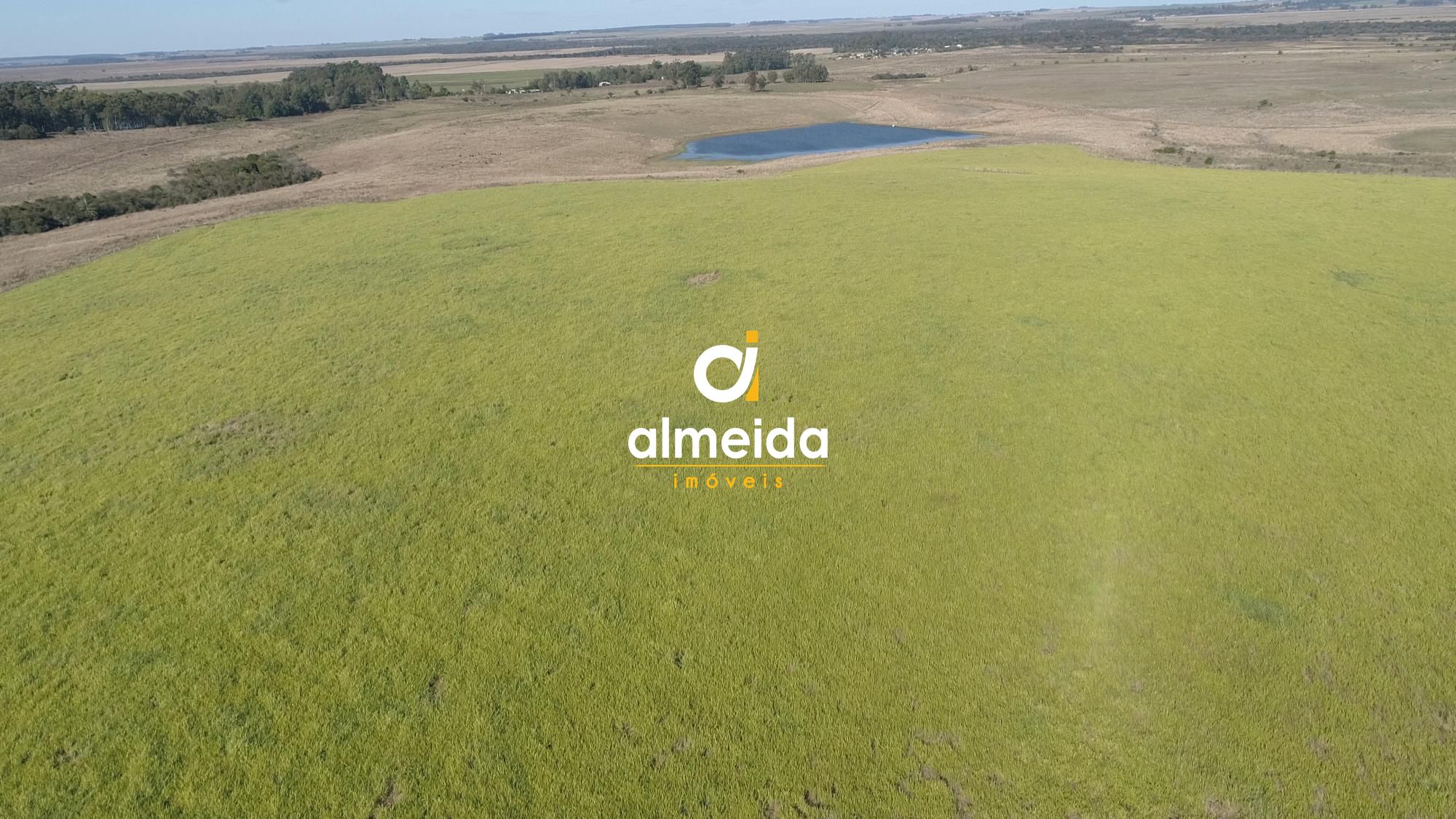 446 ha a venda município de são vicente do sul