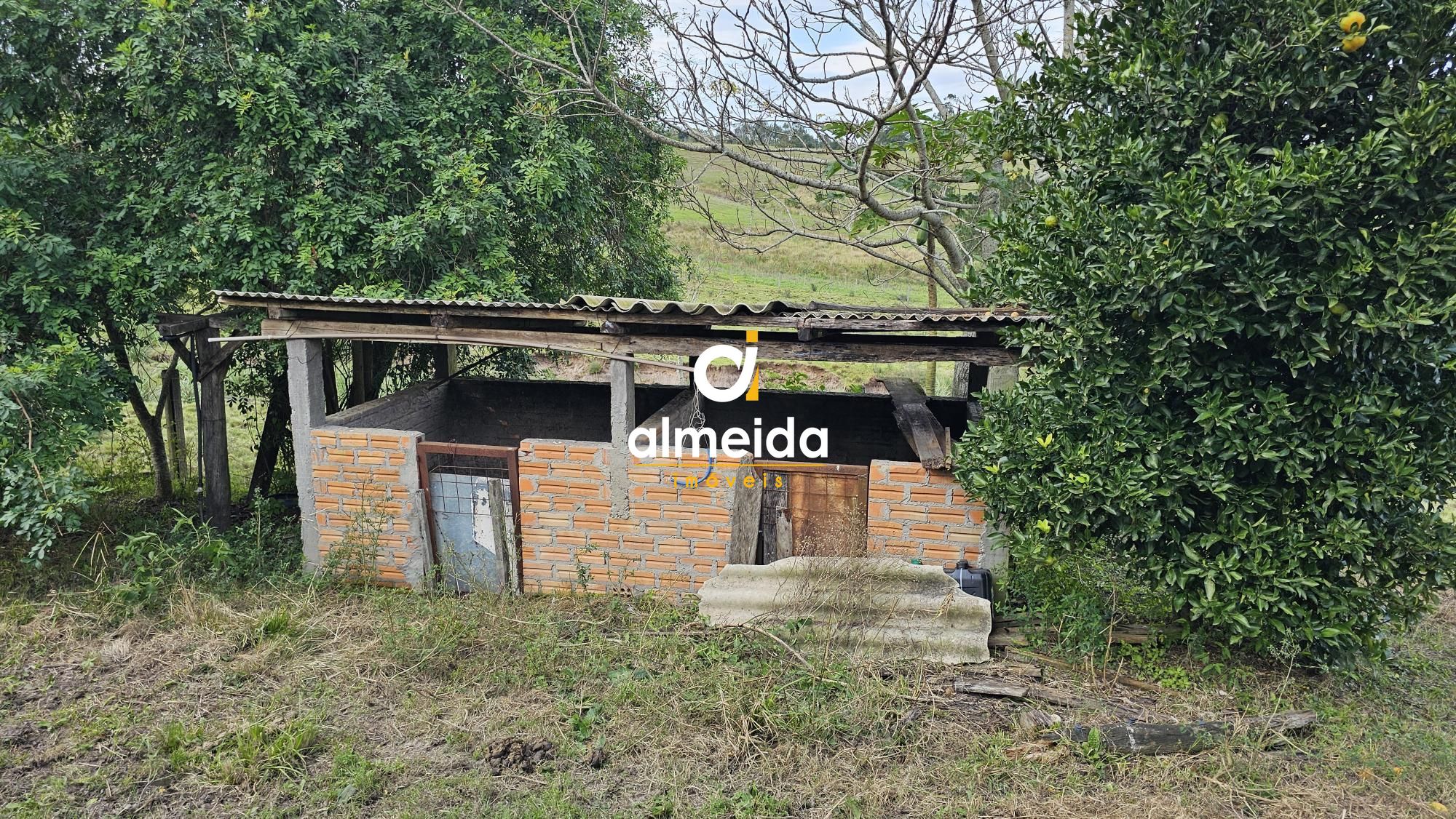 Fazenda à venda com 2 quartos, 120000000m² - Foto 31