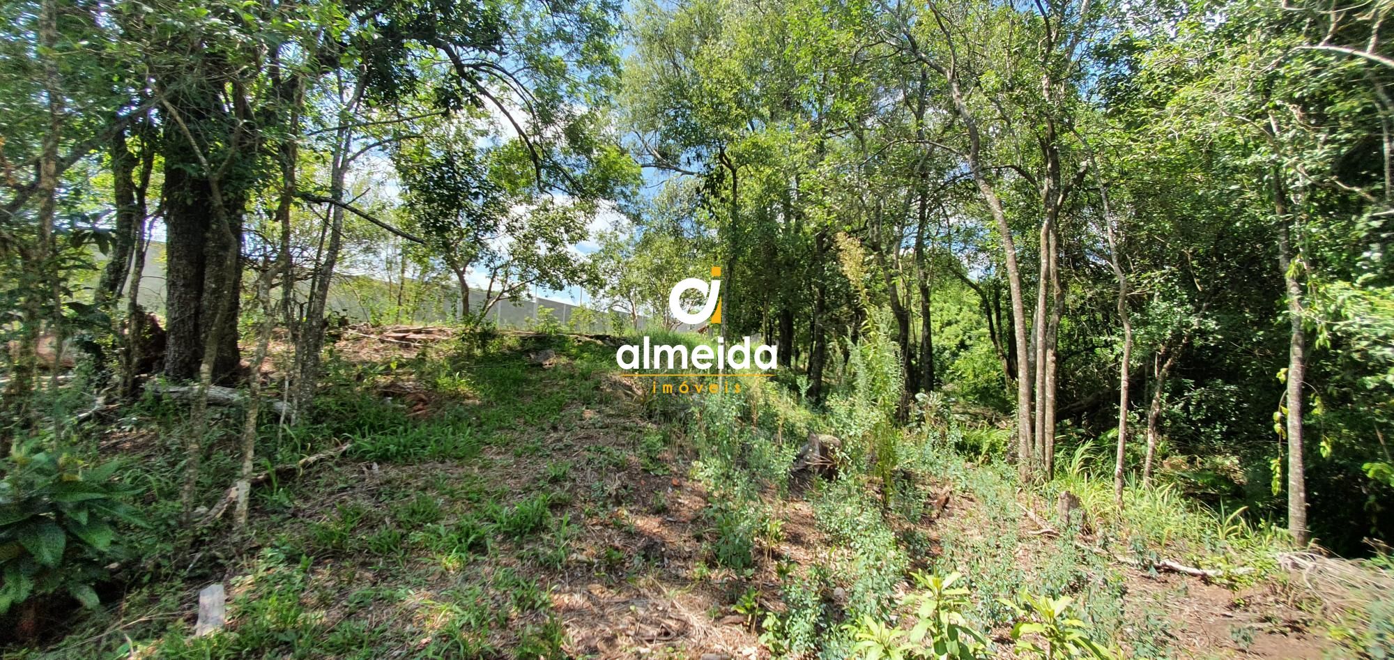 Terreno, 6000 m² - Foto 26