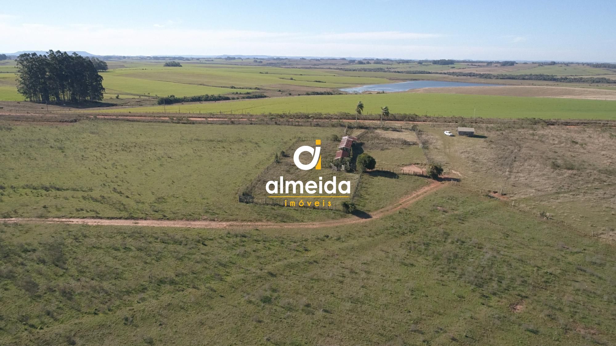 446 ha a venda município de são vicente do sul