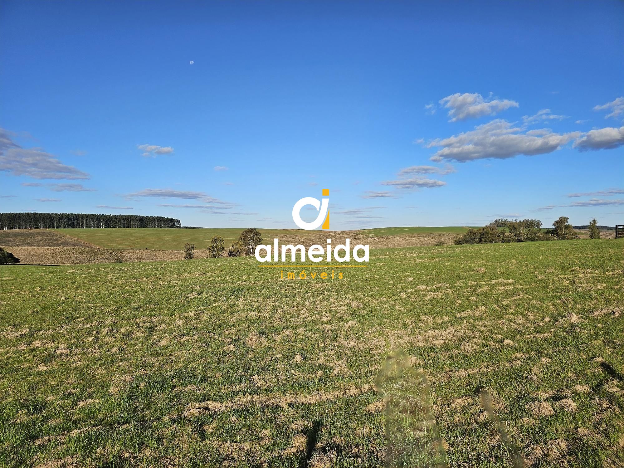 Campo à venda zona rural rosário do sul/rs