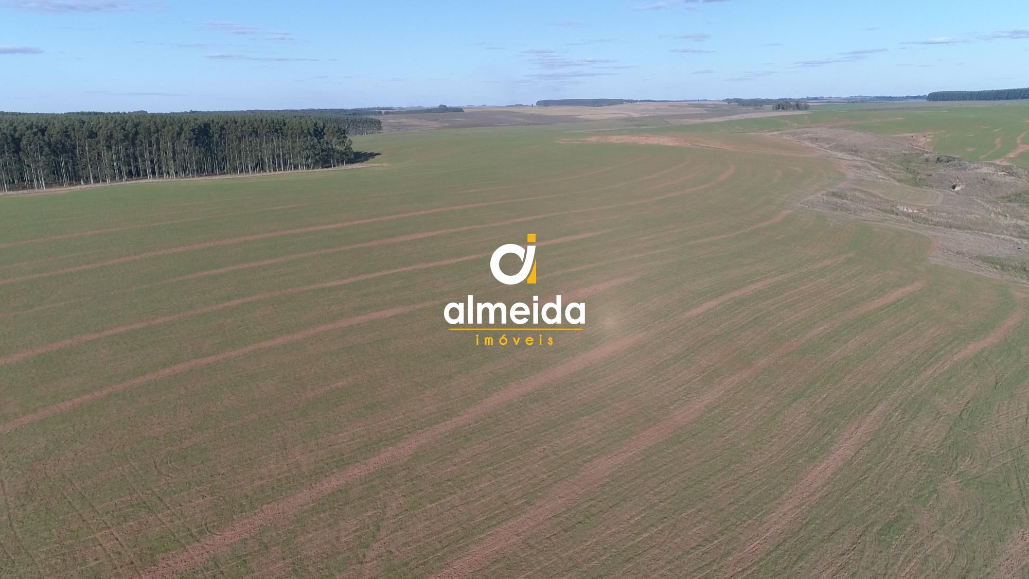 Campo à venda zona rural rosário do sul/rs