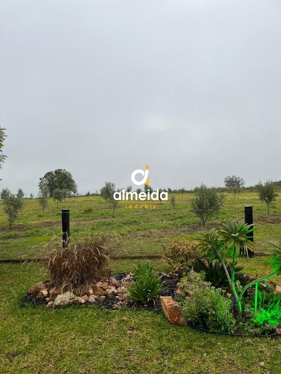 Fazenda à venda com 3 quartos, 200m² - Foto 7