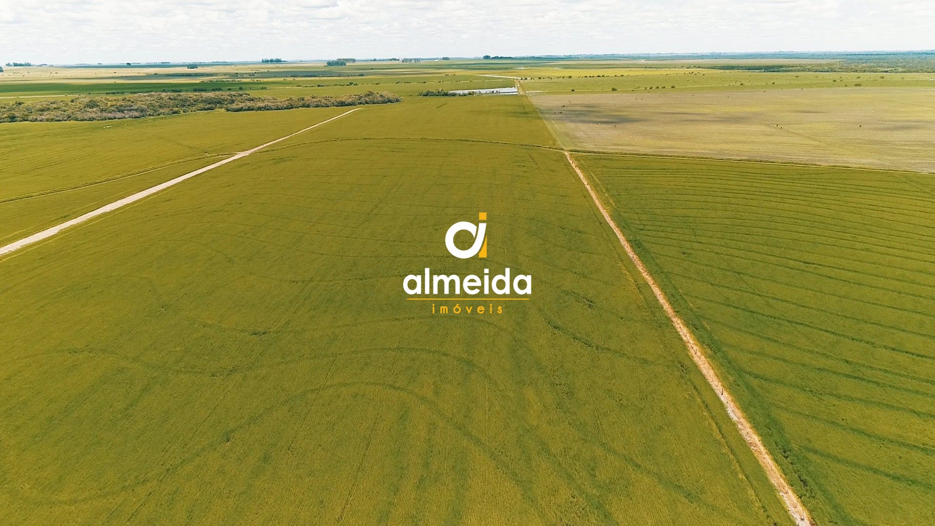 Loteamento e Condomínio à venda com 3 quartos, 45300000000m² - Foto 25