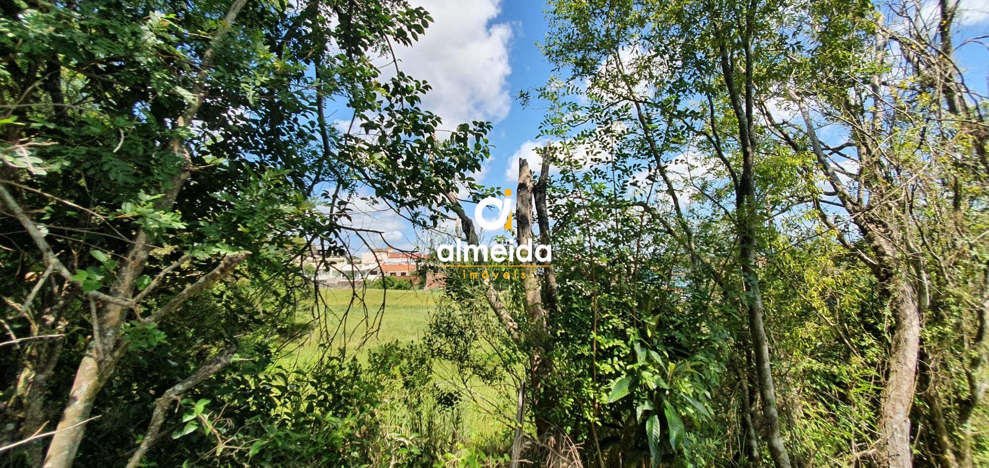 Terreno, 6000 m² - Foto 24