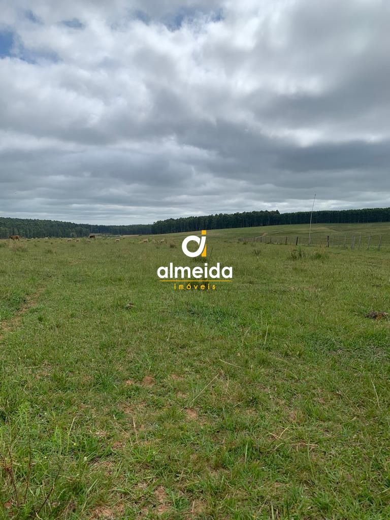 Campo à venda centro rosário do sul/rs - foto 7