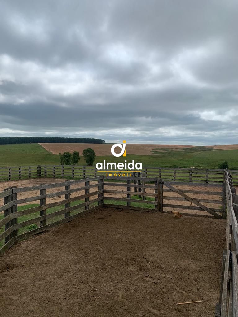 Campo à venda centro rosário do sul/rs - foto 3