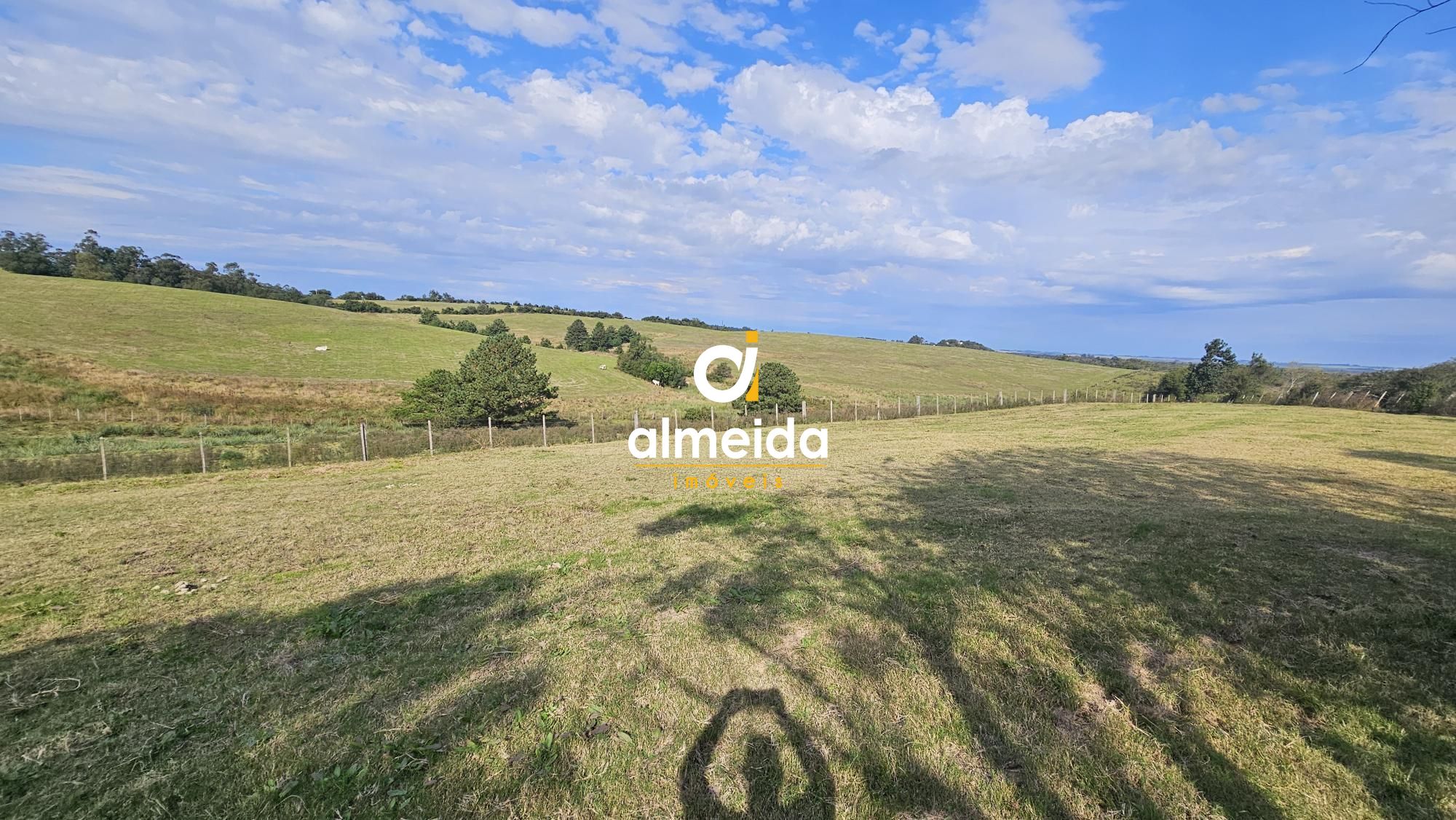 Fazenda à venda com 2 quartos, 120000000m² - Foto 25