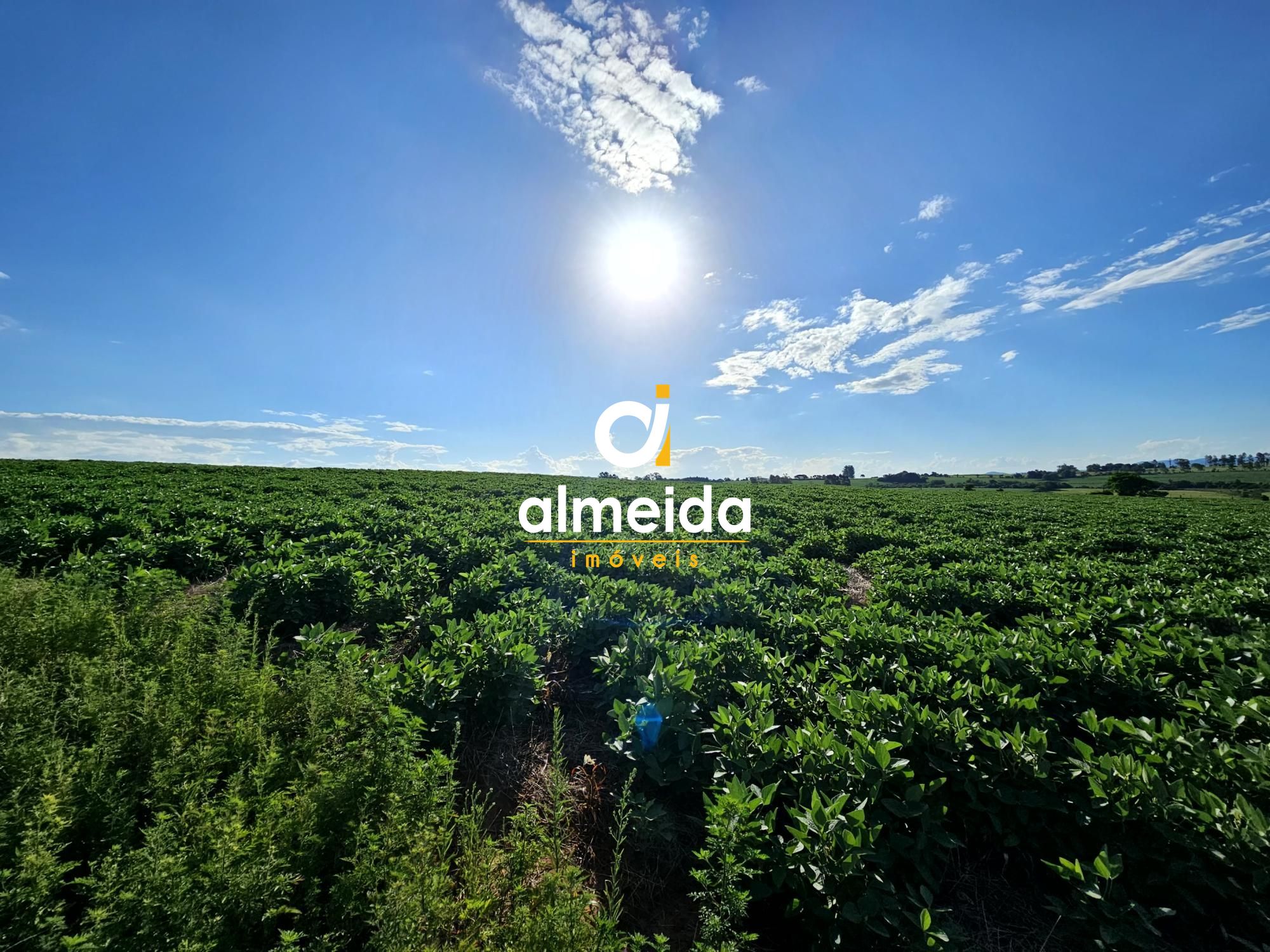 Área agricultável: 15 hectares em lavoura de soja, em plena 