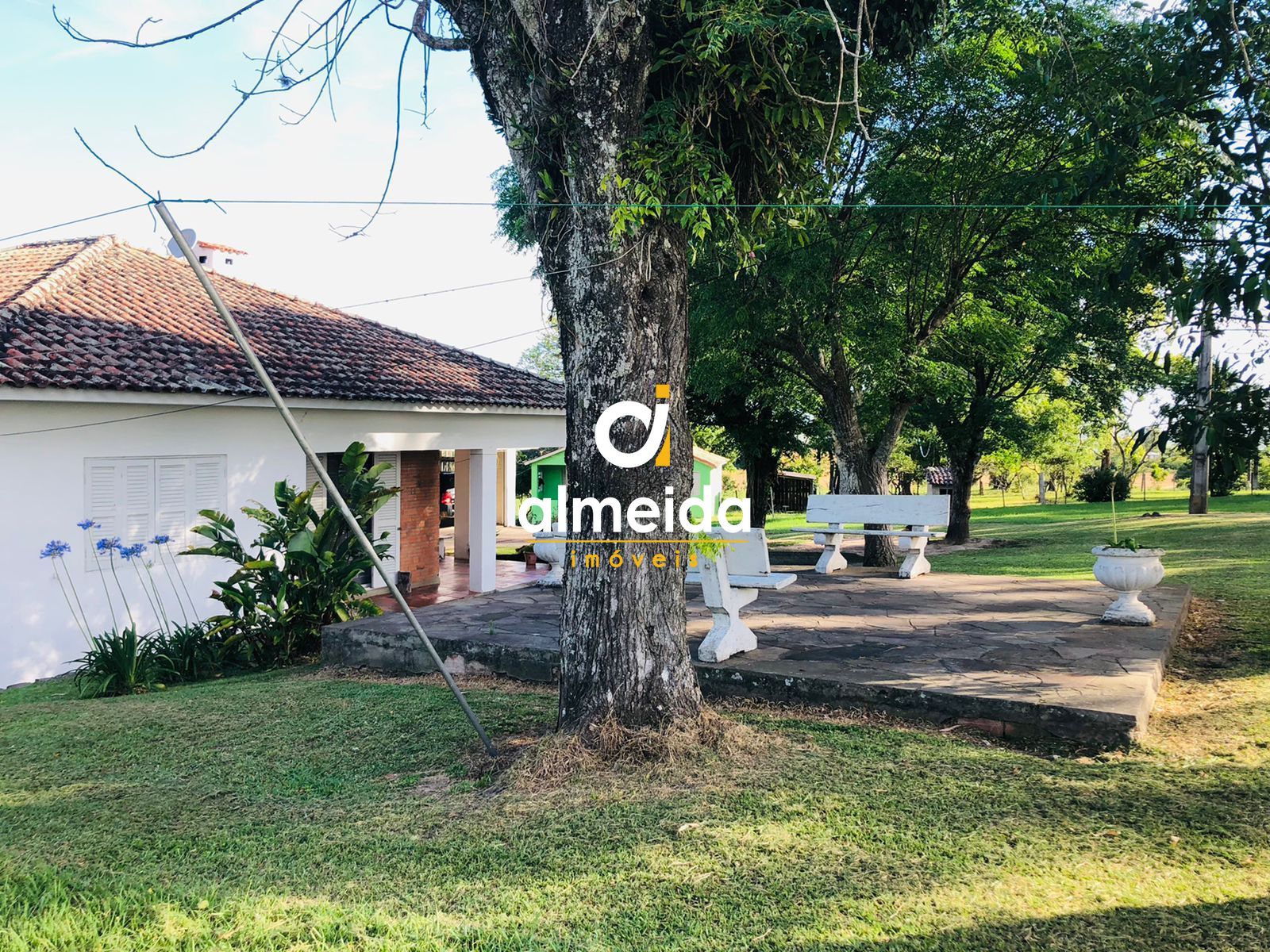 Fazenda à venda com 2 quartos, 200000000m² - Foto 5