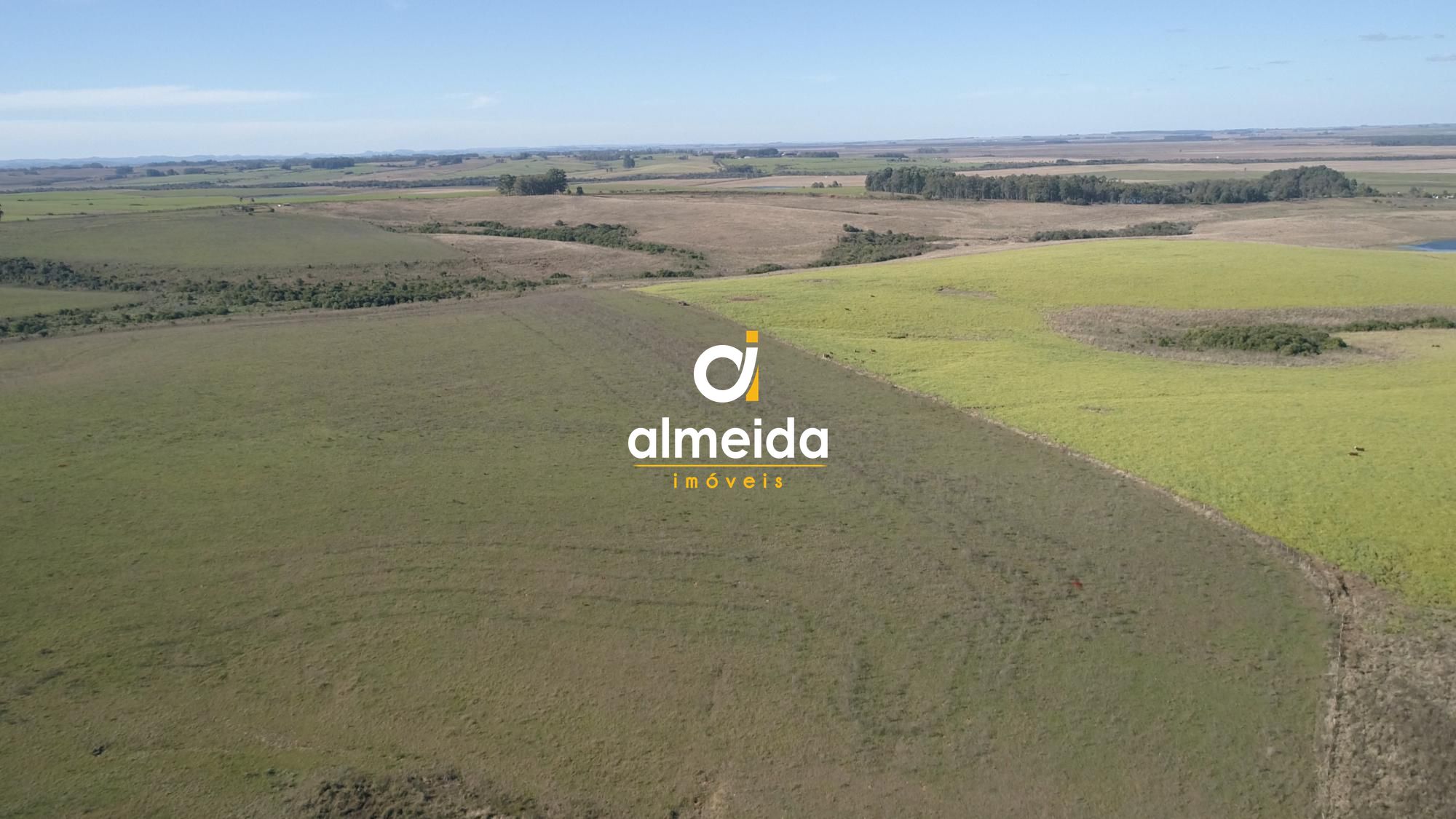 446 ha a venda município de são vicente do sul