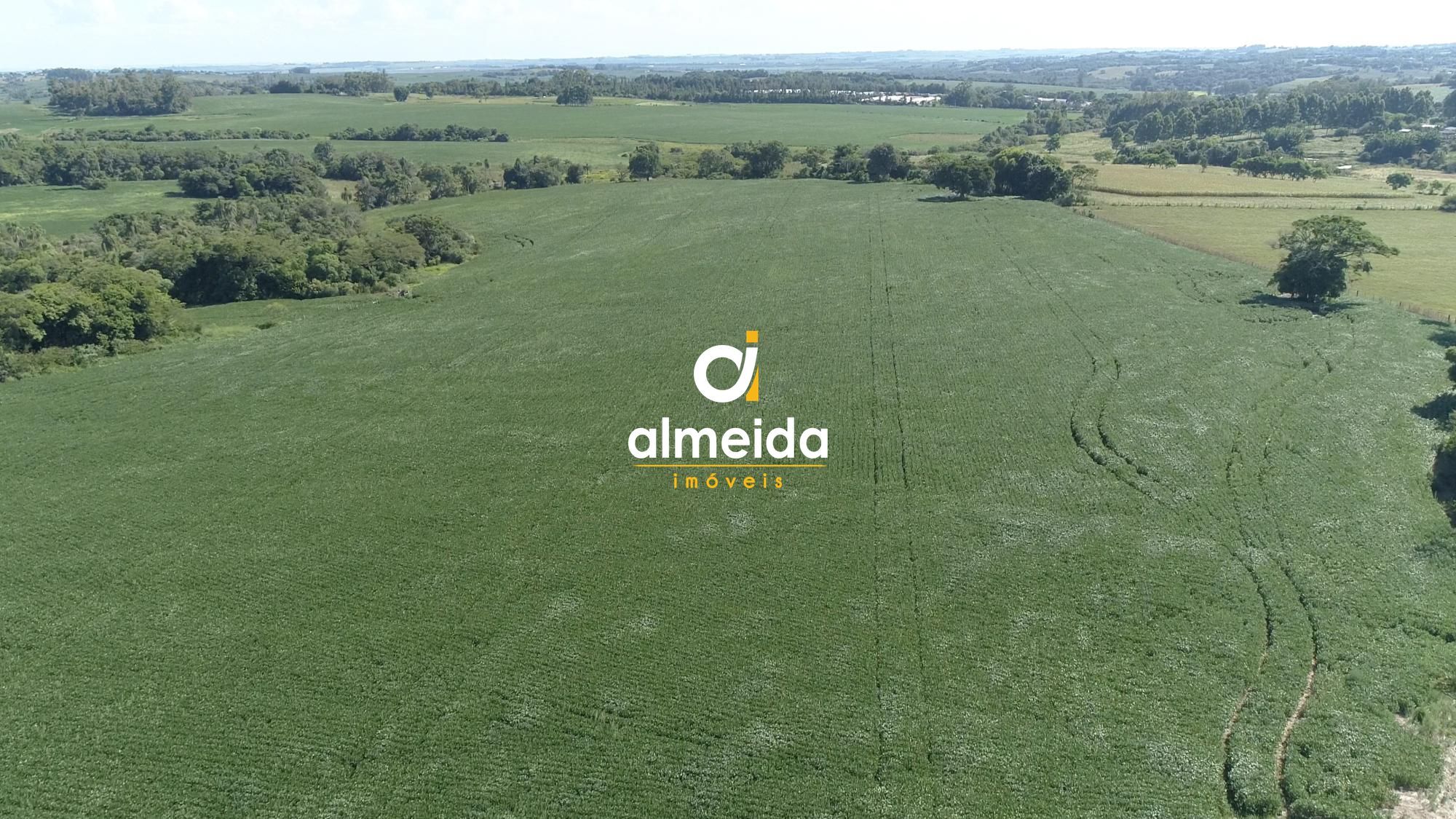 Área agricultável: 27 hectares de lavoura de soja, em plena 