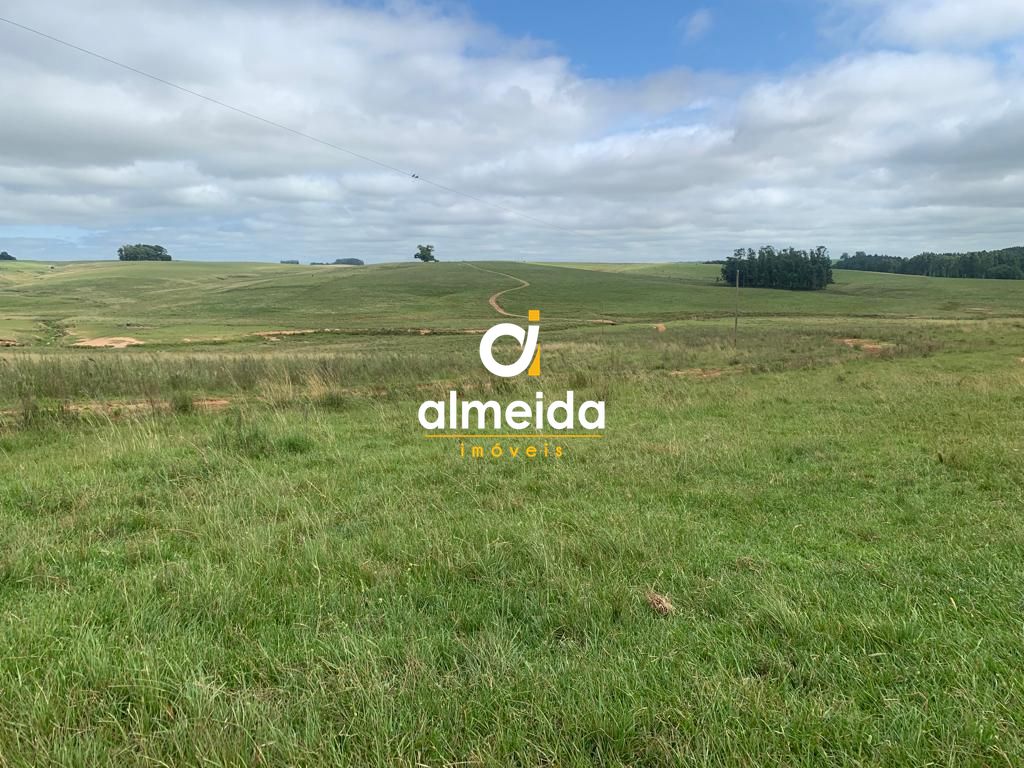 Campo à venda centro rosário do sul/rs - foto 6