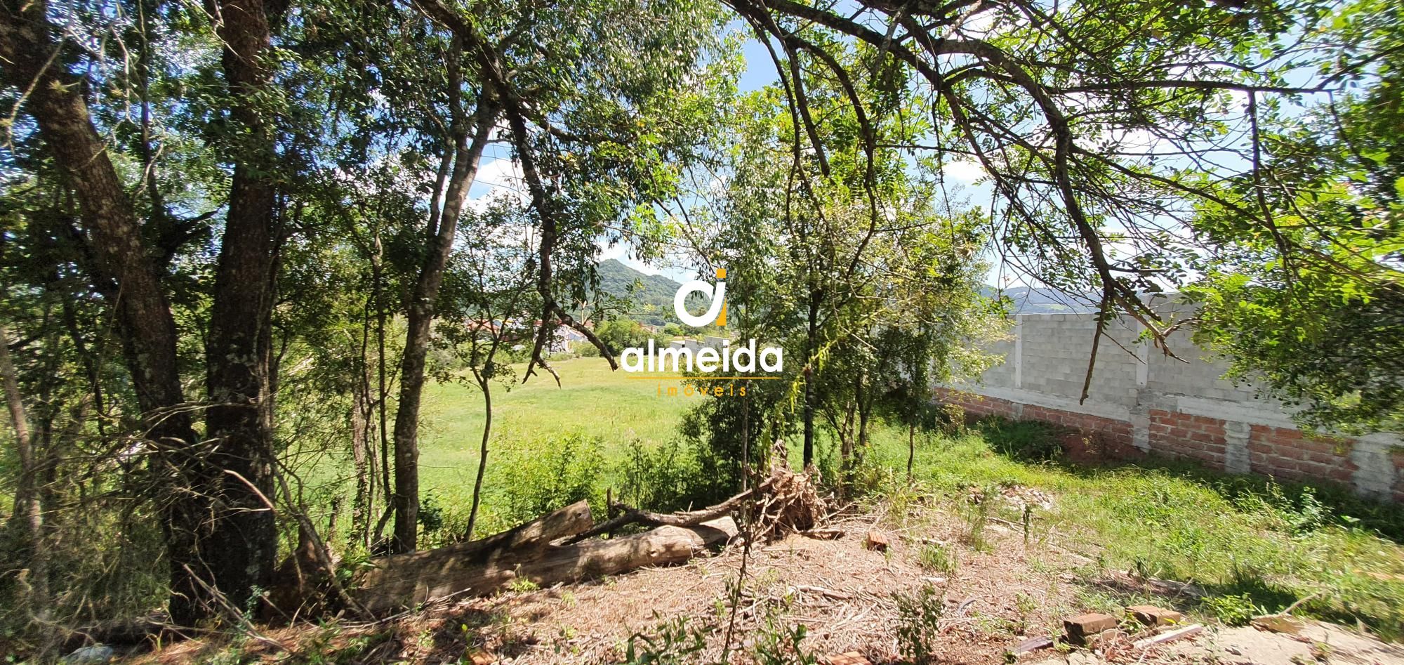 Terreno, 6000 m² - Foto 17