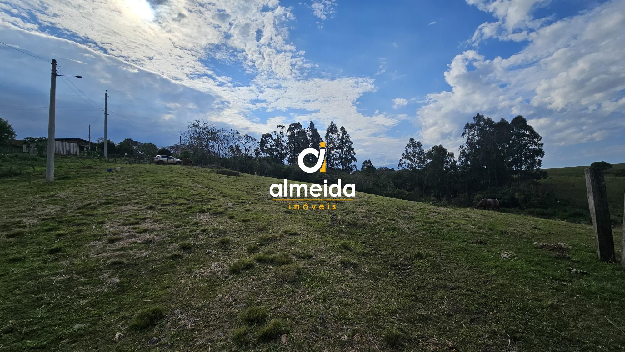 Fazenda à venda com 2 quartos, 120000000m² - Foto 12