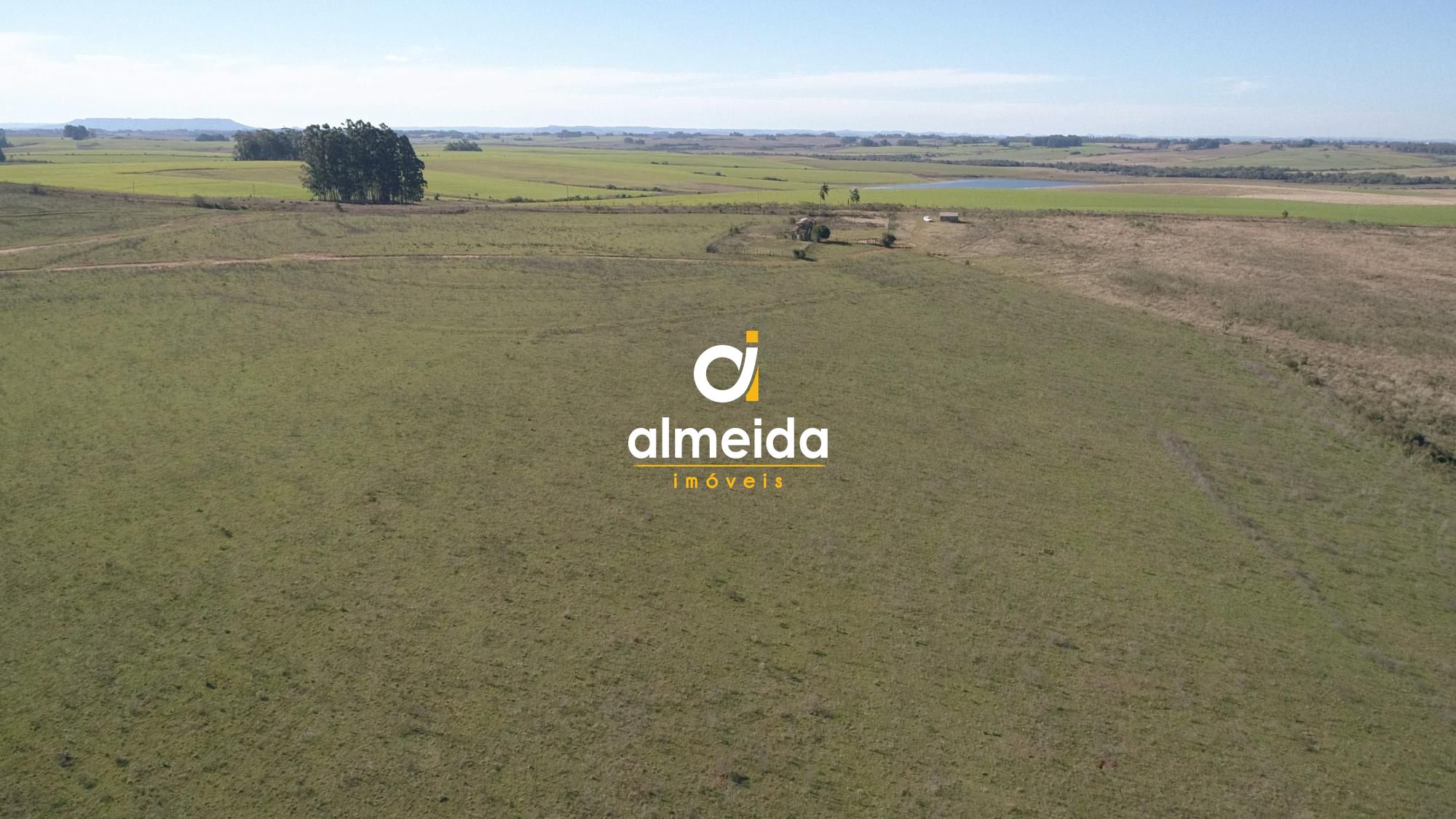 446 ha a venda município de são vicente do sul